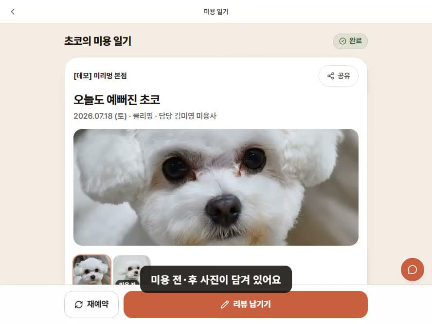 미용 일기의 미용 전후 사진과 미용사 코멘트